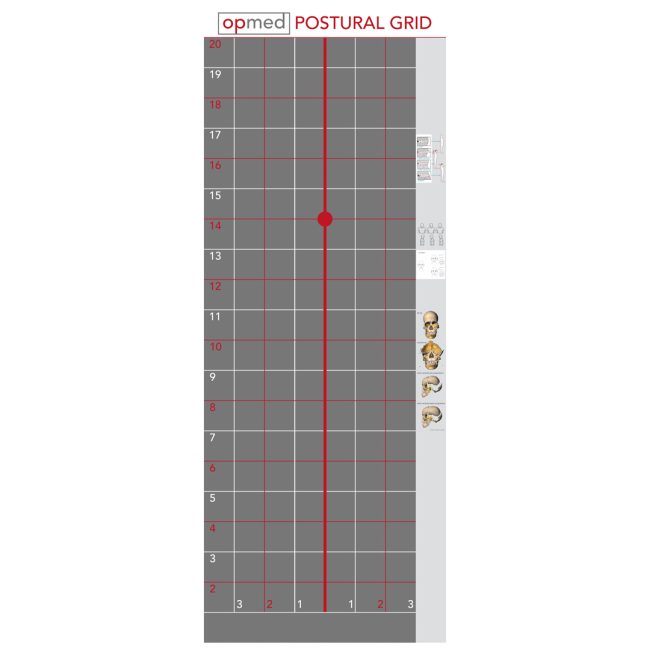 Postural Grid